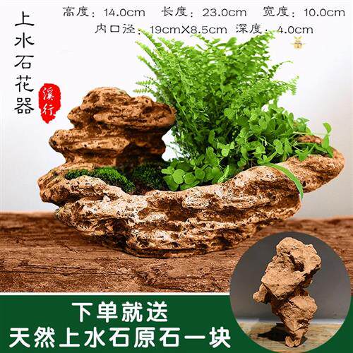 速发石生花盆不规则花盆异形创意石盆苔藓  景石头造花盆植物鱼缸