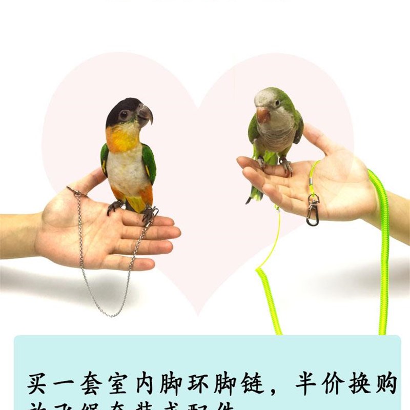 现货速发溜鸟神器鹦鹉放飞绳遛鸟绳玄凤脚环脚链不伤脚虎皮鸟牡丹