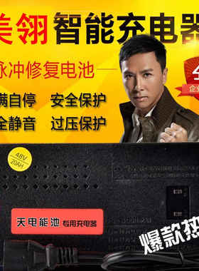 速发美翎电动V电瓶24VV8车12AH60V64V72V80V8446V20AH通用