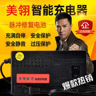 速发美翎电动V电瓶24VV8车12AH60V64V72V80V8446V20AH通用