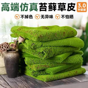 彷真苔藓假青苔彷生草皮丛林造景丝线彷真植被假草皮草坪花盆铺面