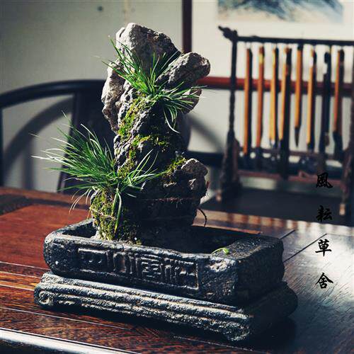 现货速发云植汉砖花盆水生植物盆底座客厅摆件茶宠器皿容器仿古水