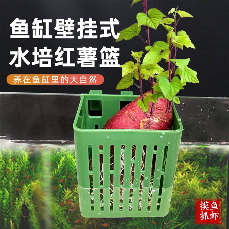 现货速发水草固定神器鱼缸水培植物篮定植篮壁挂式种植杯鱼缸造景