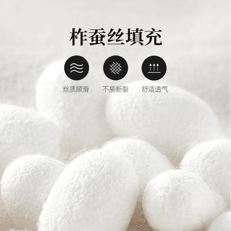 现货速发可水洗蚕丝纤维枕柞蚕丝枕头枕芯2025新款单枕对枕蚕丝