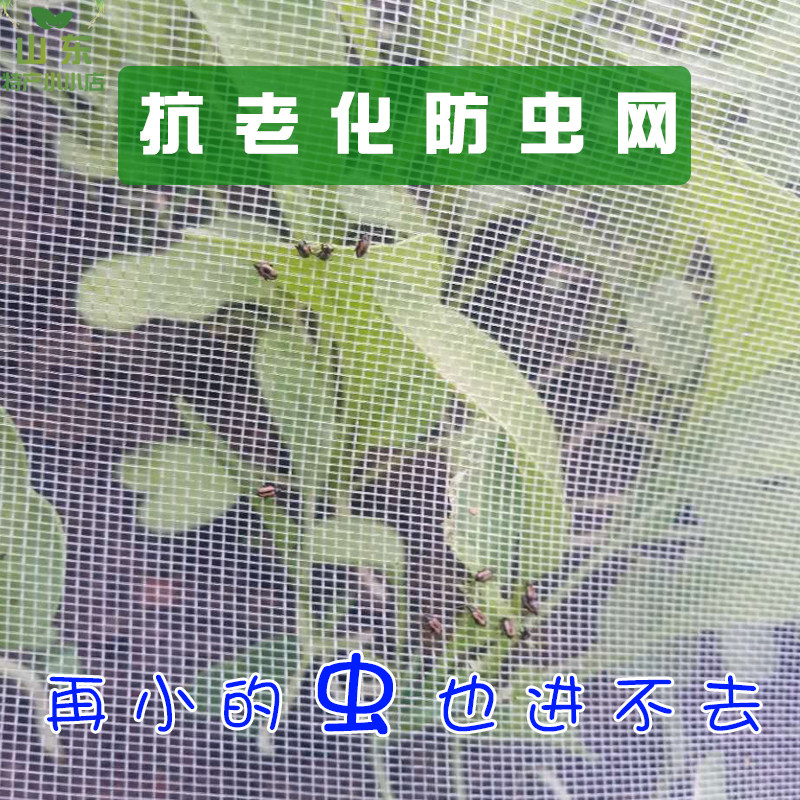 现货速发蔬菜大棚防虫网莲雾网罩果蝇青蛙围网脐橙木虱黄龙病猪场