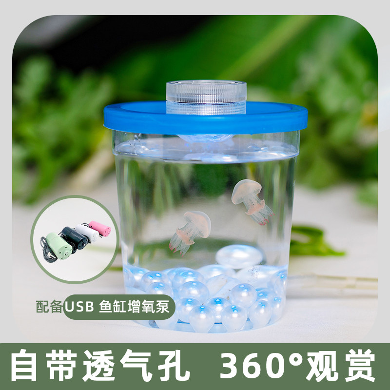儿童养的小动物包活水母活物发光瓶赤月倒立海月水母活体适合宠物