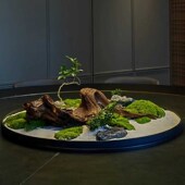 餐桌中间摆花桌摆大圆桌转盘枯景摆F件高端酒店餐厅微缩景观摆台