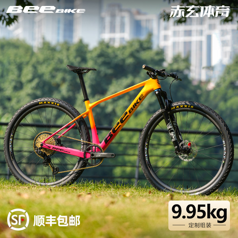 BEEBIKE定制组装碳纤维29寸避震