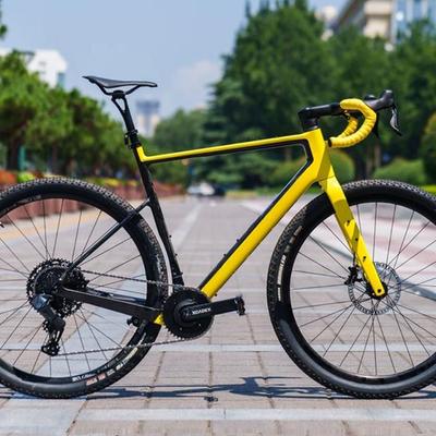 泰迪斯诺亚GV201碳纤维自行车架