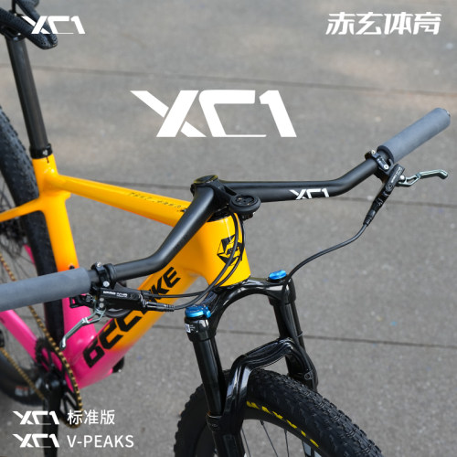 VOICE好声音XC1碳纤维一体把