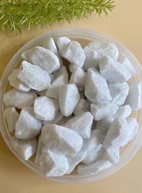 家直销白厂色砾石碎WAZ艺石白色白石子石工程铺路园白头