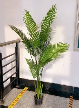 店仿真盆栽89123艺贵妃葵尾葵美造丽针葵景装饰植散物树绿色园摆