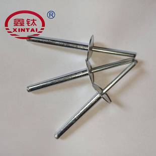 加长CLP大帽拉铆钉抽芯铆钉檐铝制超长头大帽圆沿铆钉包大帽柳钉