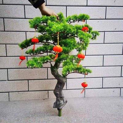 景真无品牌/植物盆栽厅迎客松客玄仿关摆件大型绿植室内装饰假树