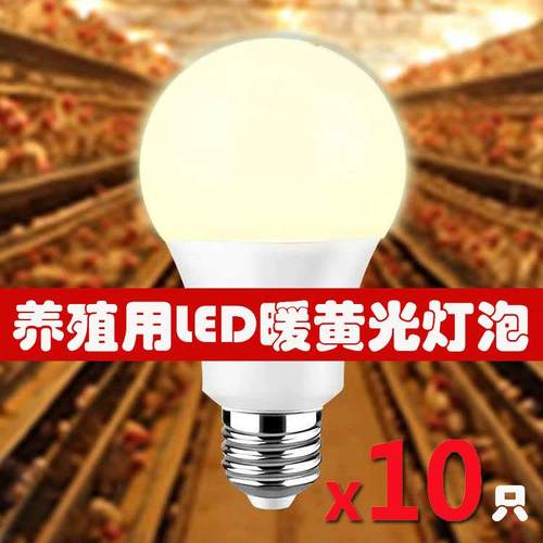 养殖场用LED暖黄光灯泡无频闪3W5W7W9W10W12W15W养鸡场黄光补光灯