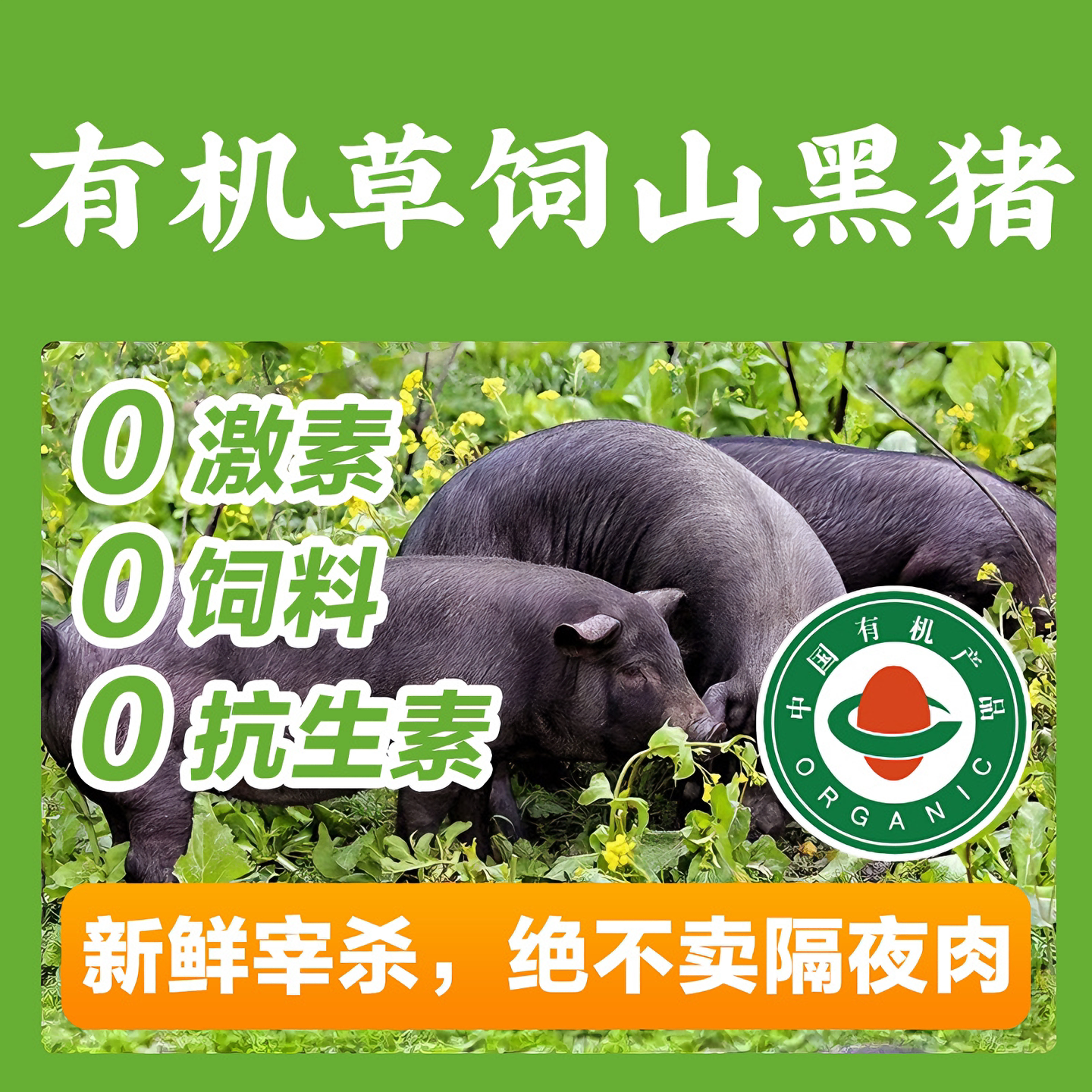 山林里有机草饲黑猪肉,新鲜宰杀【200元顺丰包邮】五花肉 排骨