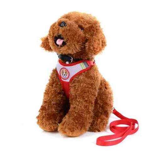 现货速发小狗胸背带小型犬狗链子工字型泰迪狗绳狗链用品