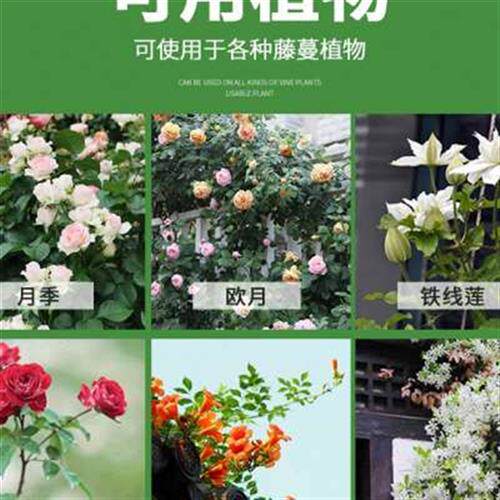 现货速发承宜拱门花架爬藤架蔷薇庭院葡萄架架子室外花爬户外风车