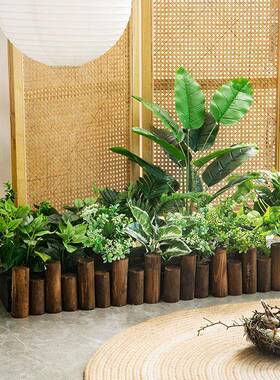 橱窗花箱LLR造组合组龟背植物物仿真景绿植假花假植摆件仿真绿植