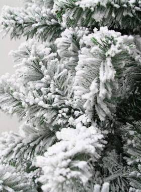 厂IXP直销2025品年新款白色落雪耶诞PVC植树绒耶诞节装饰落地家摆