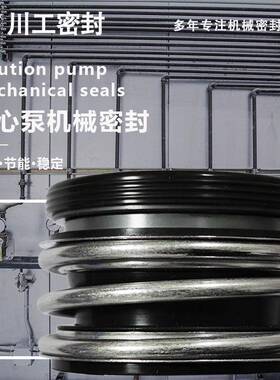 水RHFL泵封换水IG65-00(I)IR2002-150-400A污水站密封内置式机封