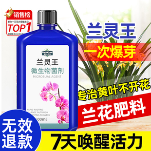 速发兰灵王兰花专用子营养液化料促花蝴蝶兰菌药君肥兰科兰陵王活