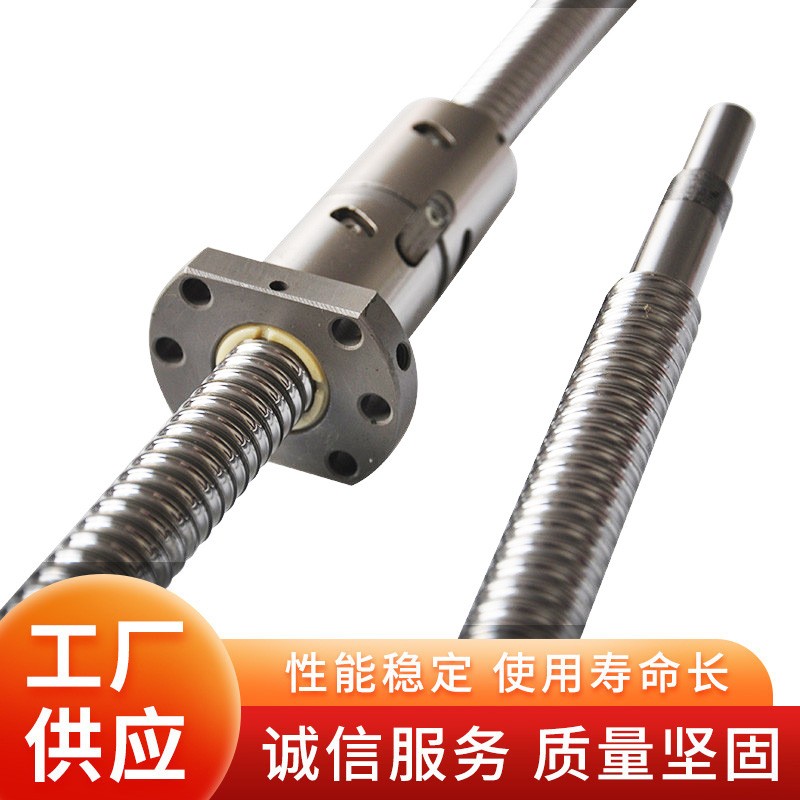 高精度腰型金属反向器双螺母滚珠丝杆DFU1605 2005 4010 5010螺杆