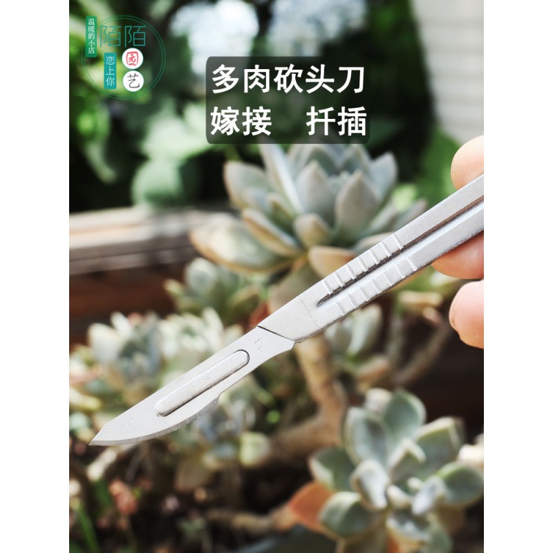 速发园艺多肉嫁接刀芽接刀植物砍头刀月季分株工具手工果树修枝刀