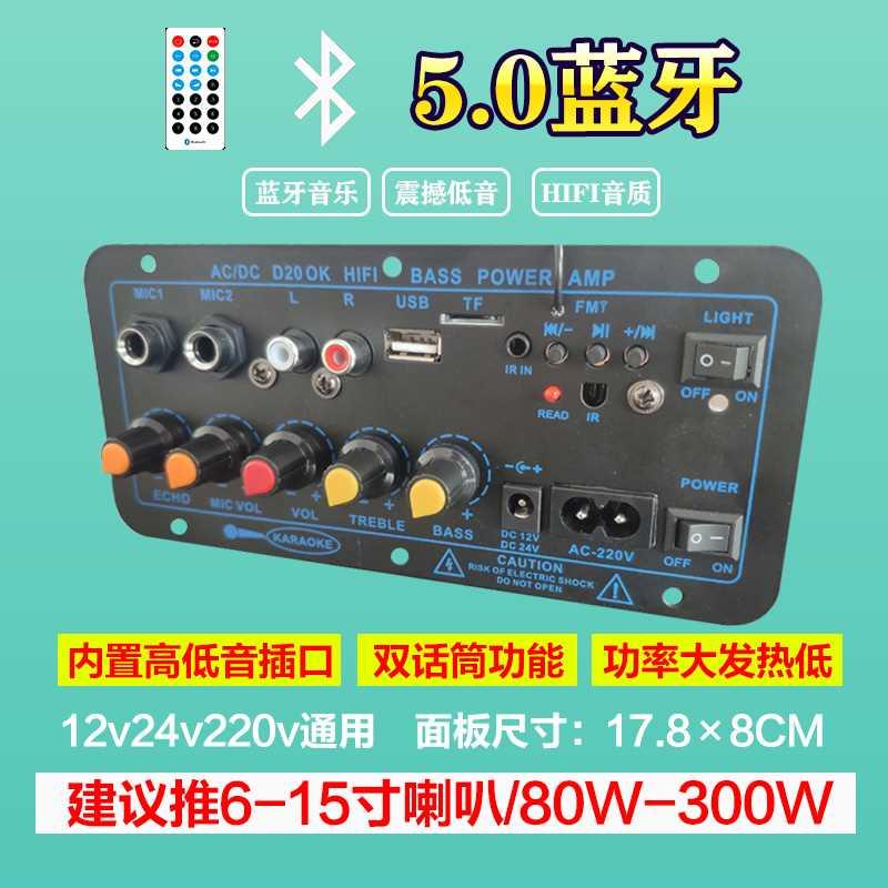 大功率车载蓝牙功放板低音炮家庭音响主板双话筒功能12V24V220V