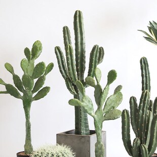 高仿真仙人柱家居k客厅仿生龙神柱造景假仙人掌橱窗沙漠景观摆件