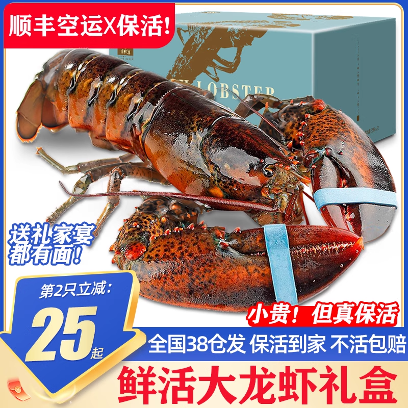 保活到家波龙礼盒2只更划算