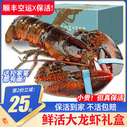 【保活到家】波士顿龙虾鲜活特大波龙澳龙超大加拿大龙虾送礼盒