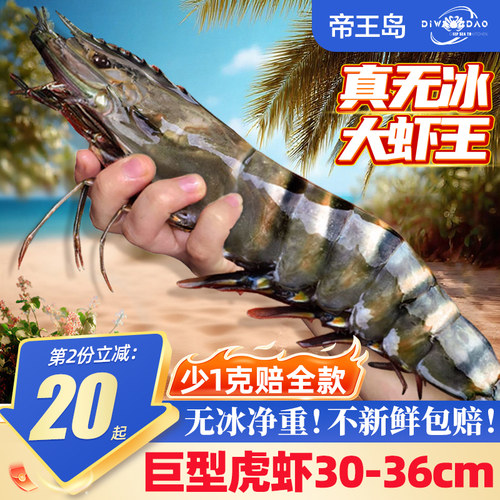 无冰净重！多份更便宜！