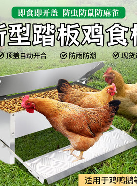 不锈钢养鸡养殖设备防雨防潮