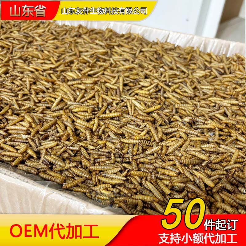 饲料黑水虻烘干虫干龟昆虫饲料鱼粮宠物仓鼠口粮高蛋白零食,3C数码配件,手机挂件/手机链,淘宝优惠券,粉丝福利购,淘宝优惠卷
