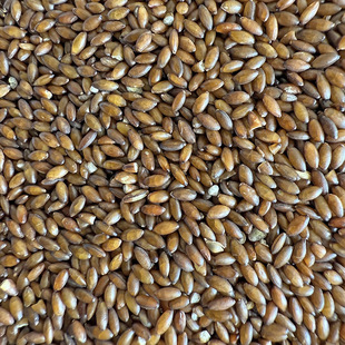 脱壳加纳利子无壳鸟食金丝雀籽鸟粮无壳白尖鹦鹉零食断奶学吃辅食