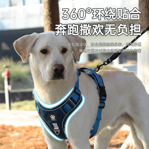 狗狗牵引绳背心式中大型犬金毛