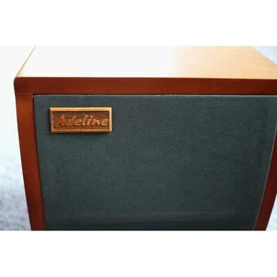 Adeline纯手工打造手工音箱多功能原声音箱W-2 Aucostic AMP