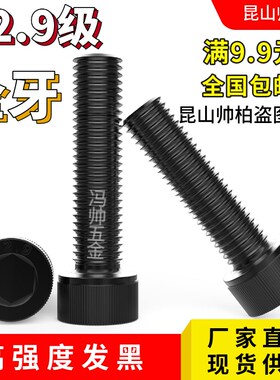 12.9级全牙内六角螺丝M6x35x40x45x50x55x60x65x70x75x80x90x100