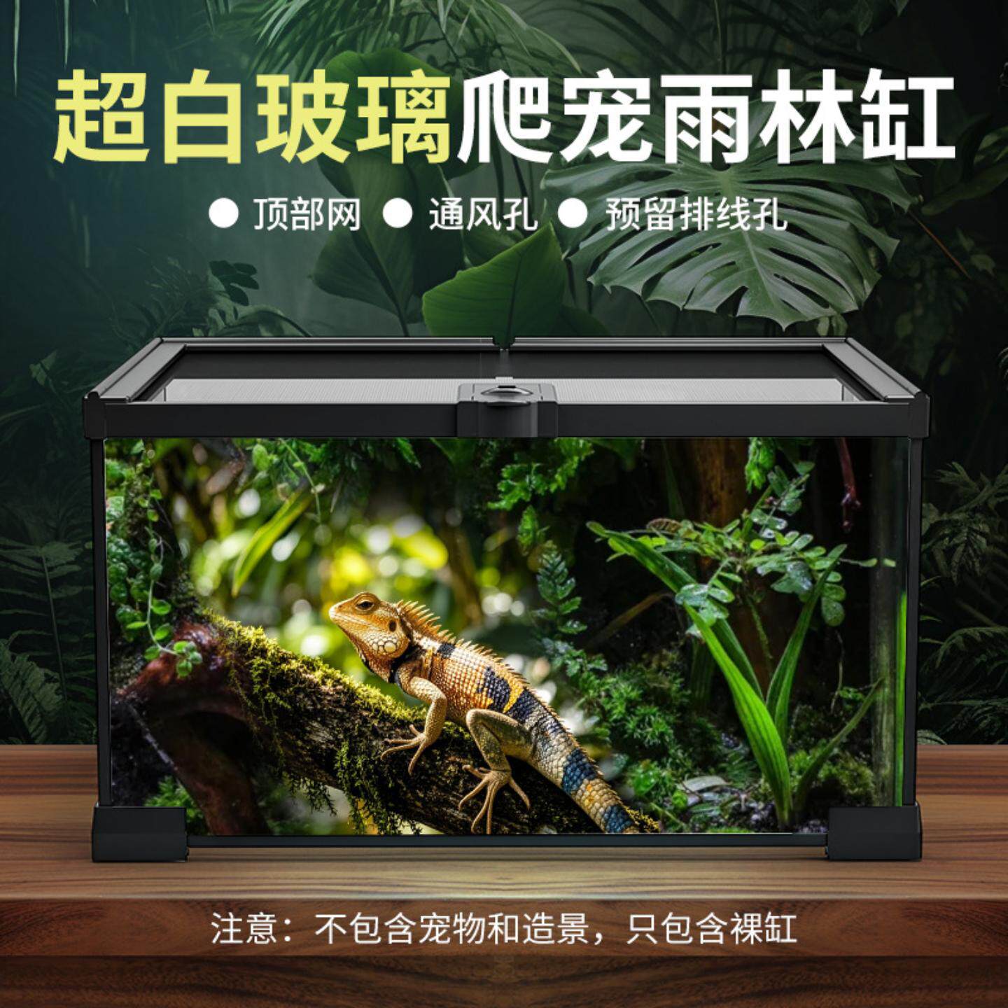 养甲鱼专用缸家用造景全套生态