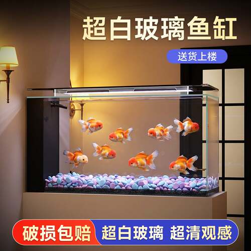 家用一体超白屏风缸客厅小型鱼缸