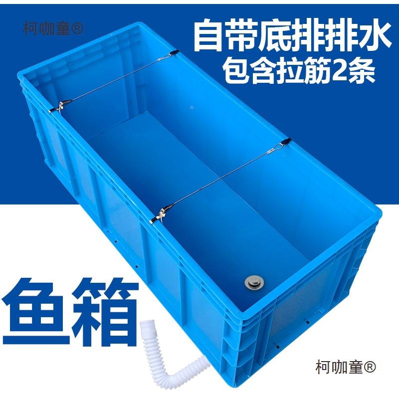 柯咖童缸乌龟缸排带底异形大型海鲜鱼箱塑料箱鱼水缸带拉筋箱养麦