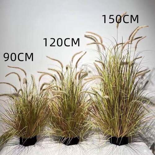 狗尾草饰仿真花芦苇草假草仿真绿植毛虫猫尾草LF745691假花箱装毛
