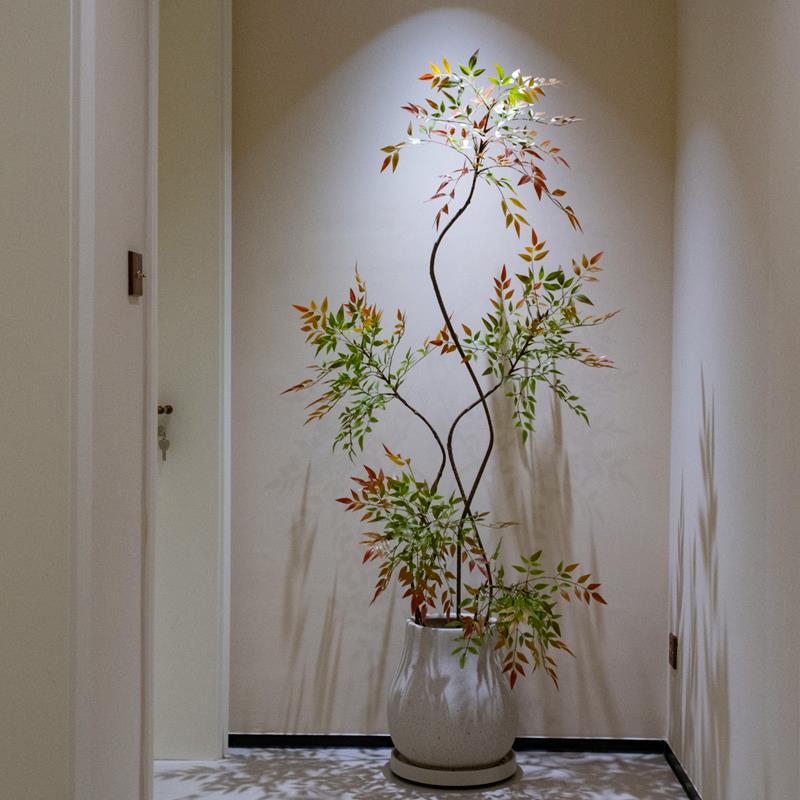 植彩色10078376南竹天仿真绿内客厅阳台假树大型室落地花盆栽摆件