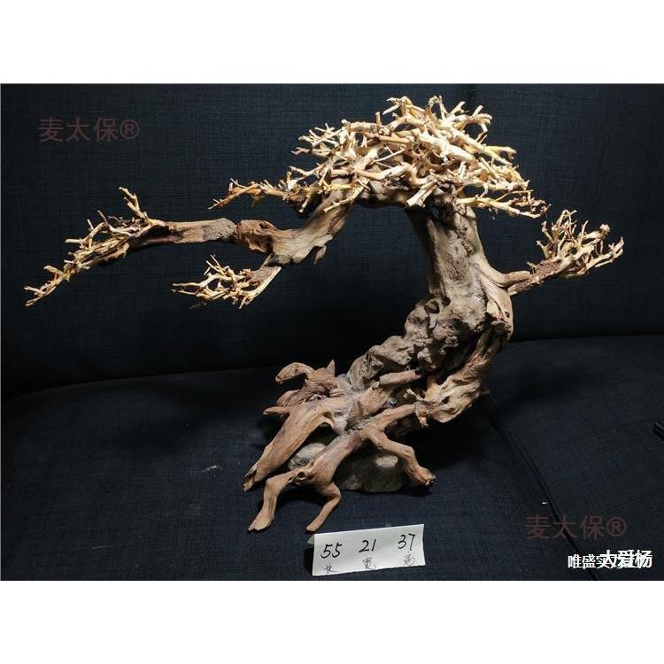 西泰树沉木莫斯树水杜鹃国枝根水族箱造景鱼缸麦太保生命之树草麦