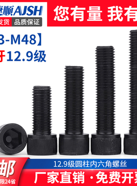 速发121级全牙内六1螺丝高强度螺栓DI.2 M4M5M6M8M10M12M角6M18