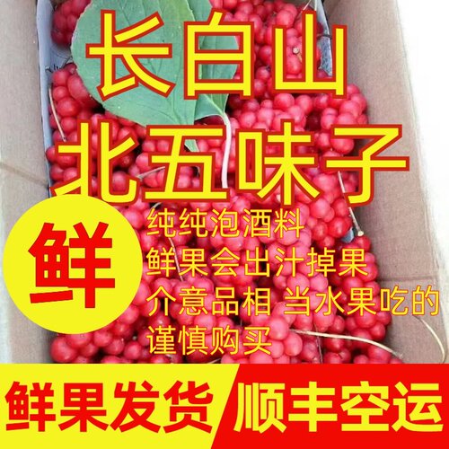 两斤长白山北五味子吉林特产北药五味籽鲜果泡酒酵素泡水原料包邮