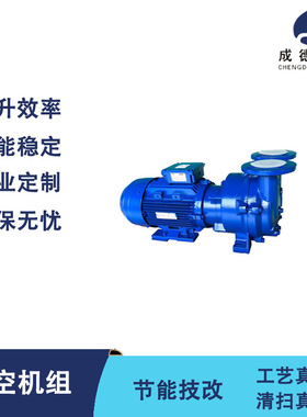 Nash水环真空泵 2BV5-111-5 百年品牌   小型液环真空