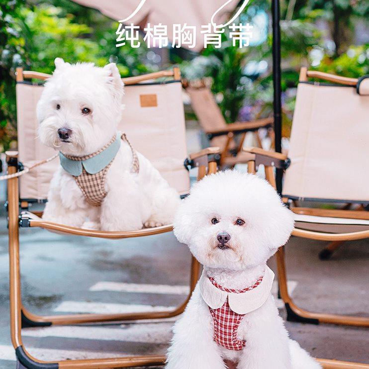 狗狗牵引绳小型犬背心式狗绳外出狗绳子胸背带遛狗泰迪绳狗背带