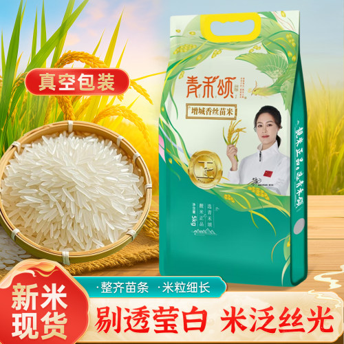 2026当季新米优质丝苗米